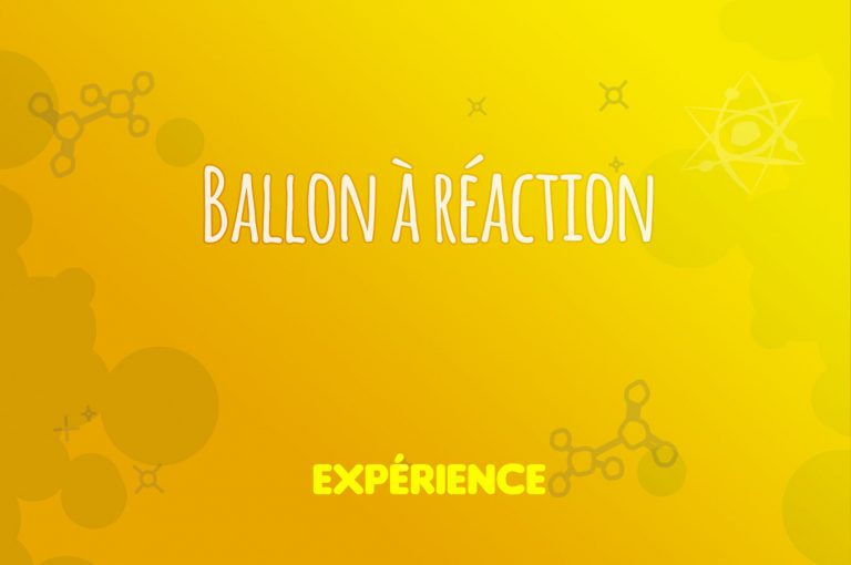 Expérience scientifique : Ballon à réaction