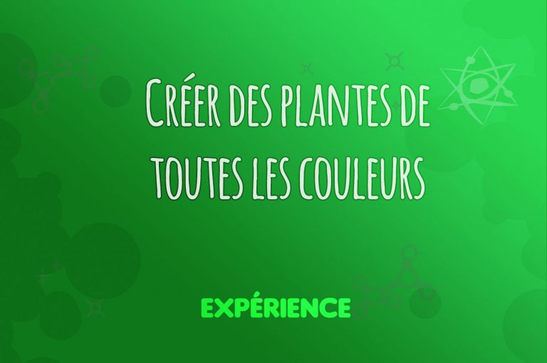 Expérience scientifique : Créer des plantes de toutes les couleurs