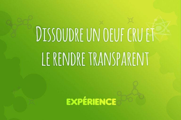 Expérience scientifique : Dissoudre un oeuf cru et le rendre transparent