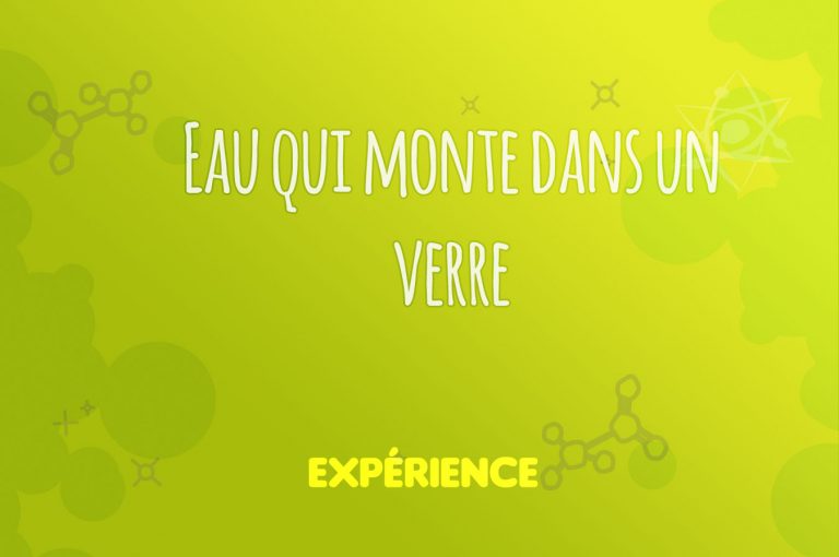 Expérience scientifique : Eau qui monte dans un verre