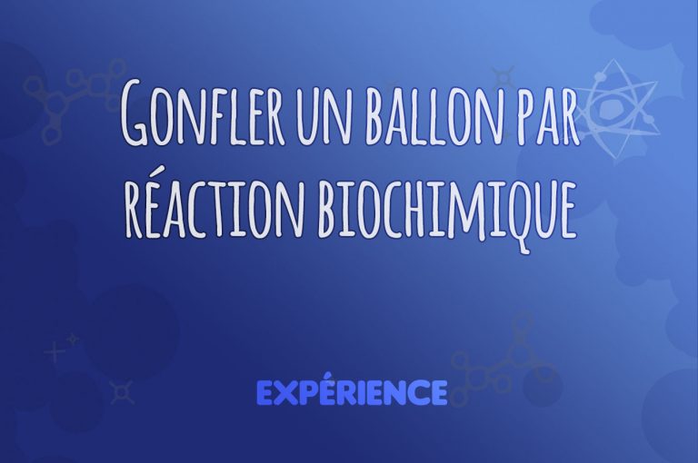 Expérience scientifique : Gonfler un ballon par réaction biochimique