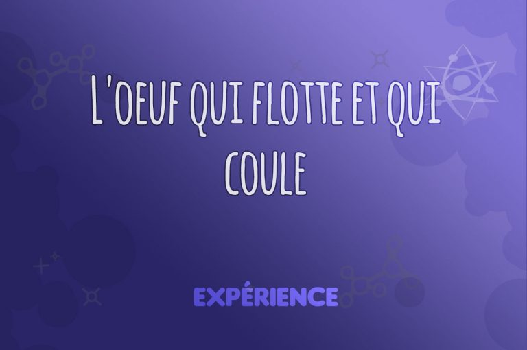 Expérience scientifique : L'oeuf qui flotte et qui coule