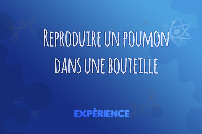 Expérience scientifique : Reproduire un poumon dans une bouteille