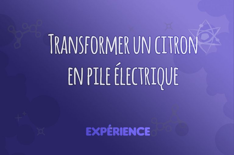 Expérience scientifique : Transformer un citron en pile électrique