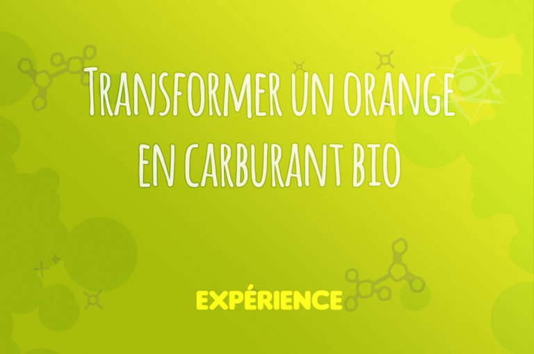 Expérience scientifique : Transformer un orange en carburant bio