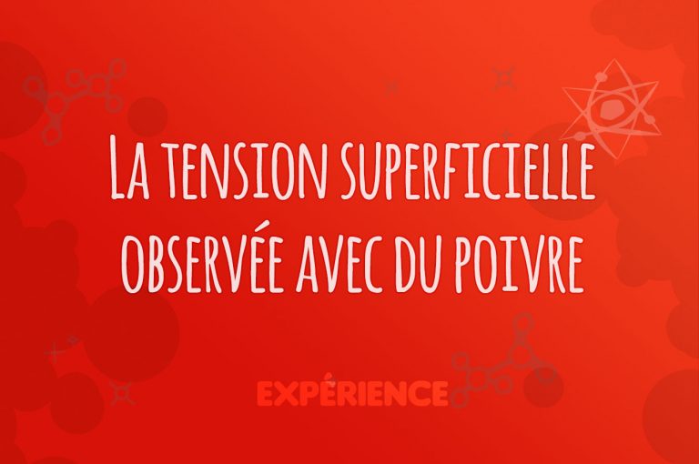 Expérience scientifique : La tension superficielle observée avec du poivre